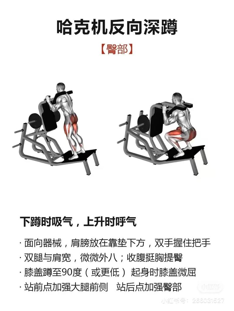 如何訓練最大肌力