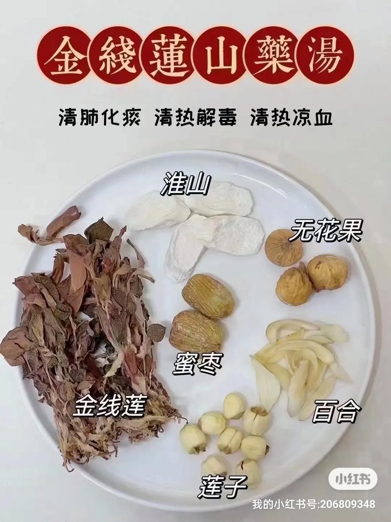 金線蓮茶功效