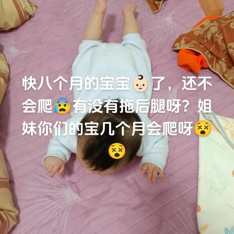 幾個月不會爬