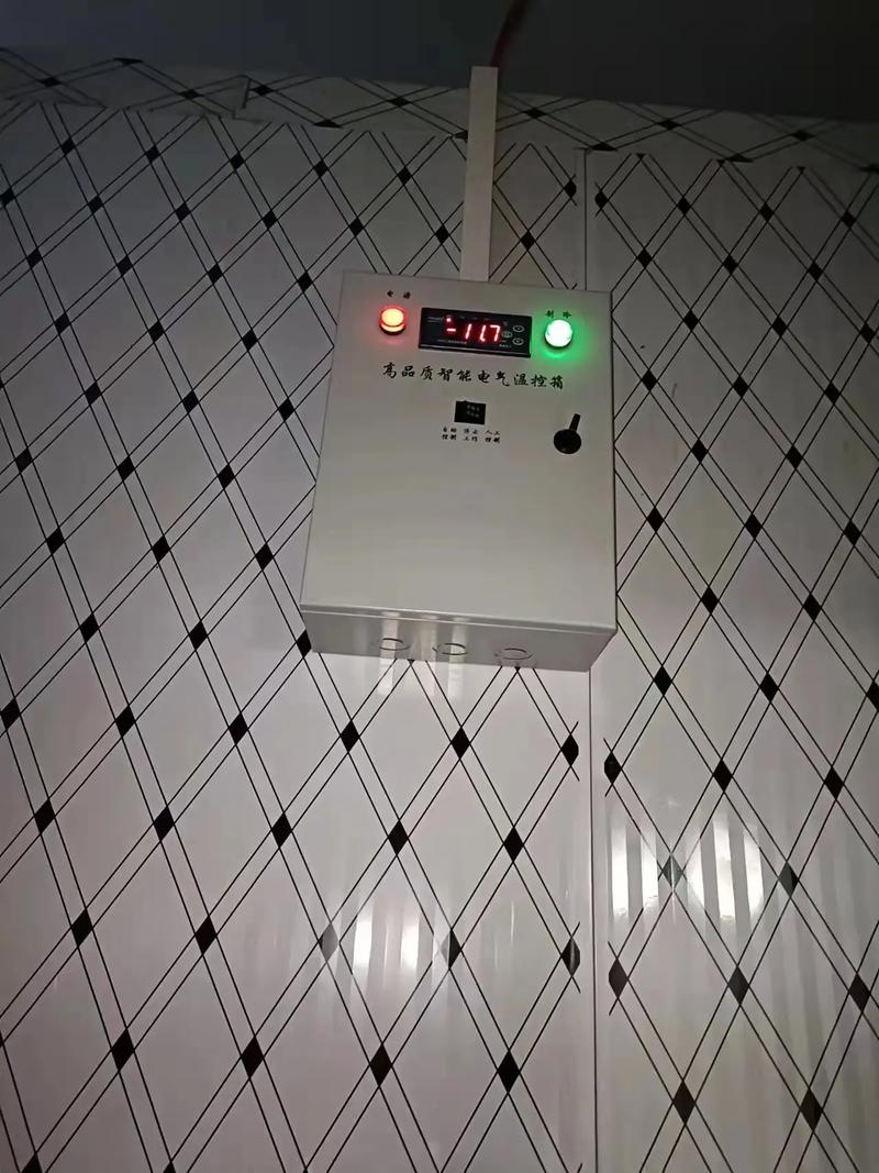 冷凍庫的白煙是什麼