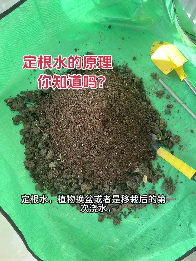 水耕植物多久換一次水