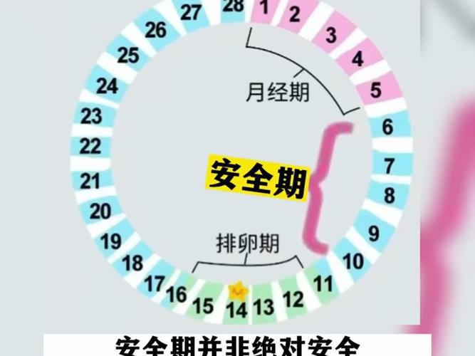 安全期計算