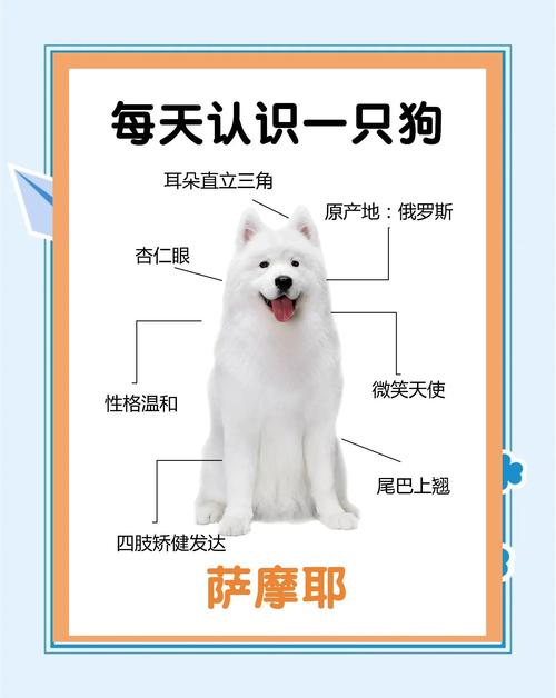 薩摩耶是哪裡的狗