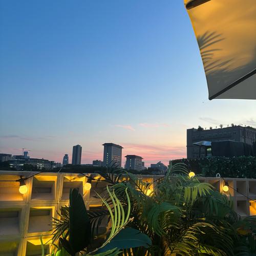 出去玩可以去哪裡