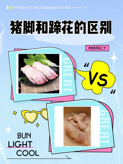 豬腳部位選擇:揭秘如何挑選最適合燉滷、紅燒、清燉的美味秘訣 1 豬腳部位選擇