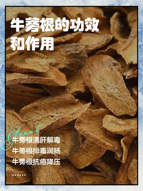 狗能吃牛蒡嗎