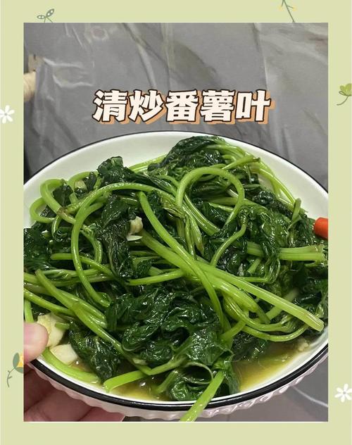 孕婦可以吃蕃薯葉嗎