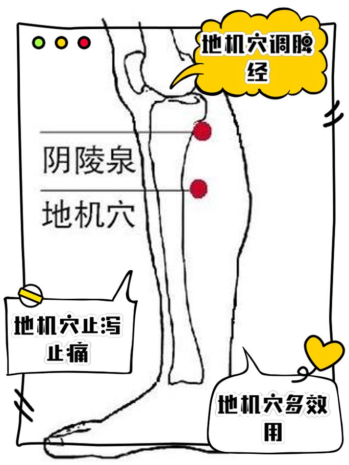 小腿內側是什麼經絡