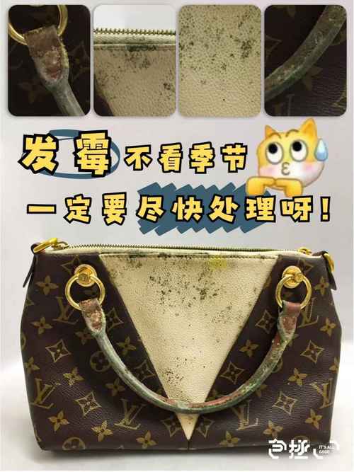 包發霉如何處理