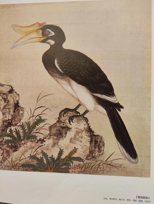 鳥是一夫一妻嗎