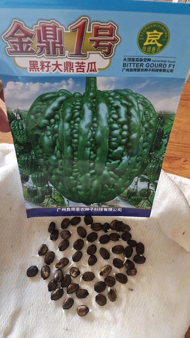 苦瓜要打頂嗎