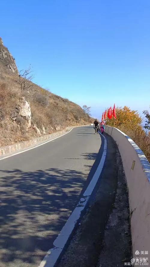 特富野走梯子板山