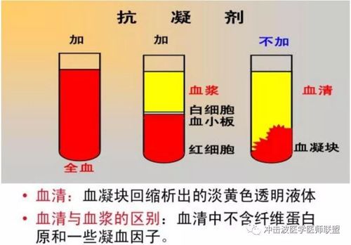 血清跟血漿差在哪