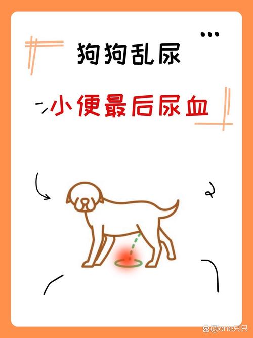 狗ㄧ天尿幾次