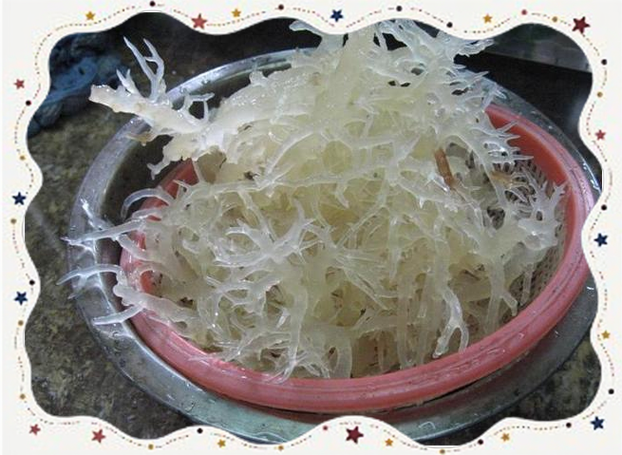 海燕窩是什麼
