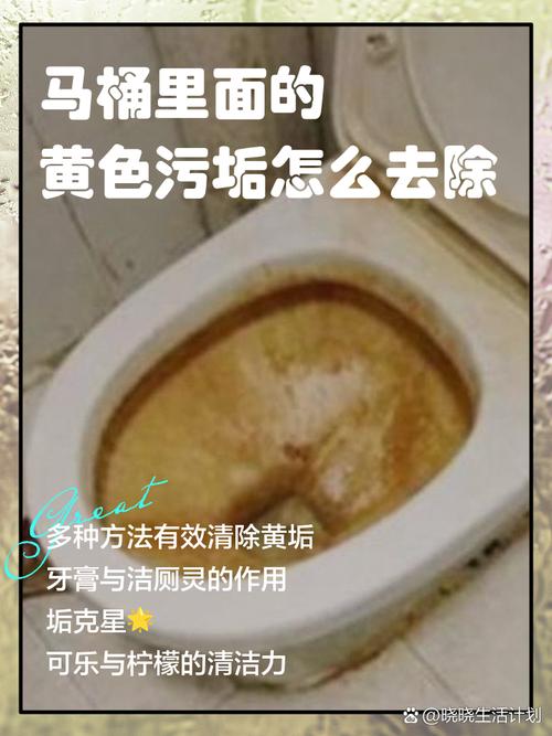 過期的油可以倒馬桶嗎