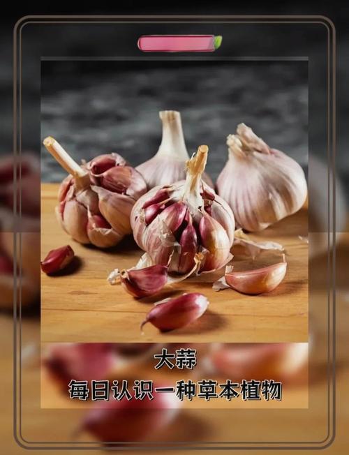 大蒜有什麼功效