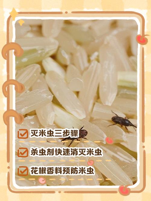 米蟲到處爬