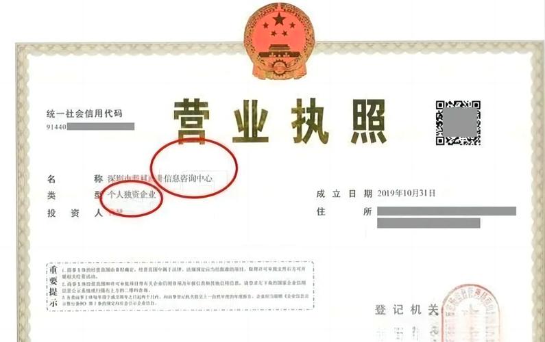一人公司算獨資嗎