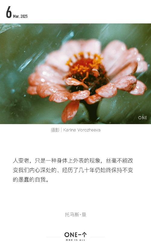 世界上什麼人一下子就變老了