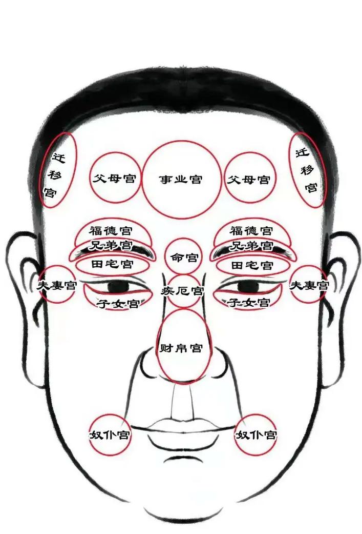 面相左右怎麼分