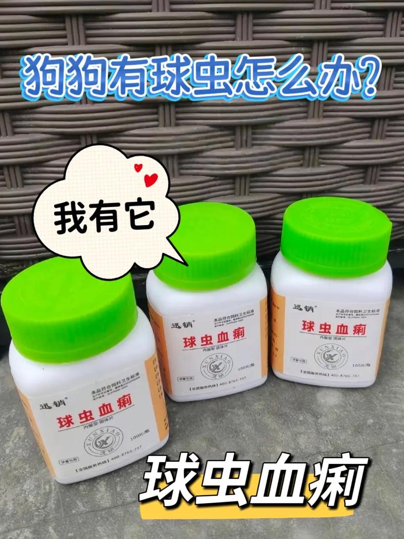 球蟲怎麼殺