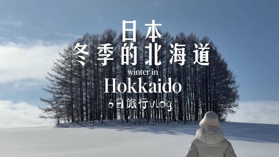 東南旅遊社日本北海道評價