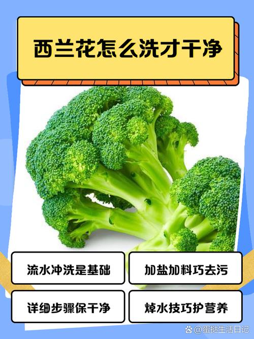 西蘭花要怎麼洗