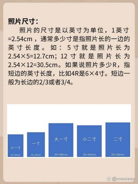 長照g碼是什麼