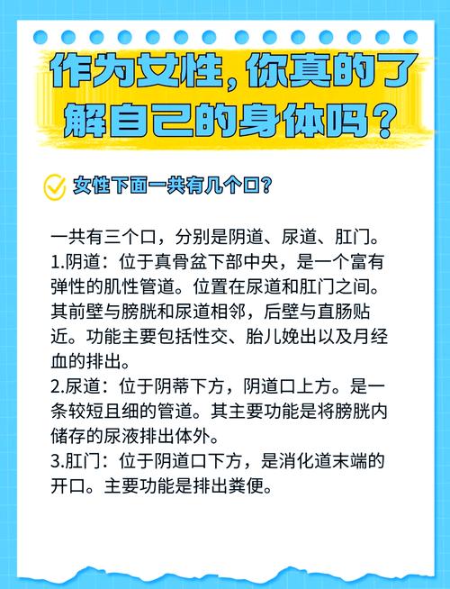 女生尿尿的地方在哪裡