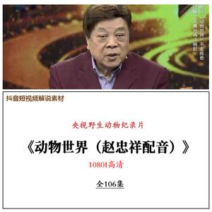 動物方城市中文配音是誰