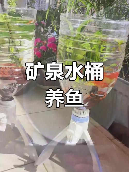 礦泉水能養魚嗎