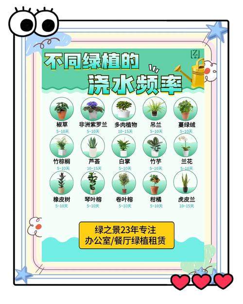 何時澆水最好