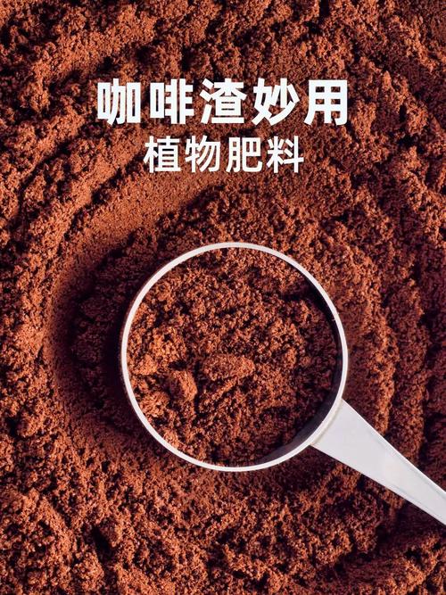 咖啡渣能喝嗎