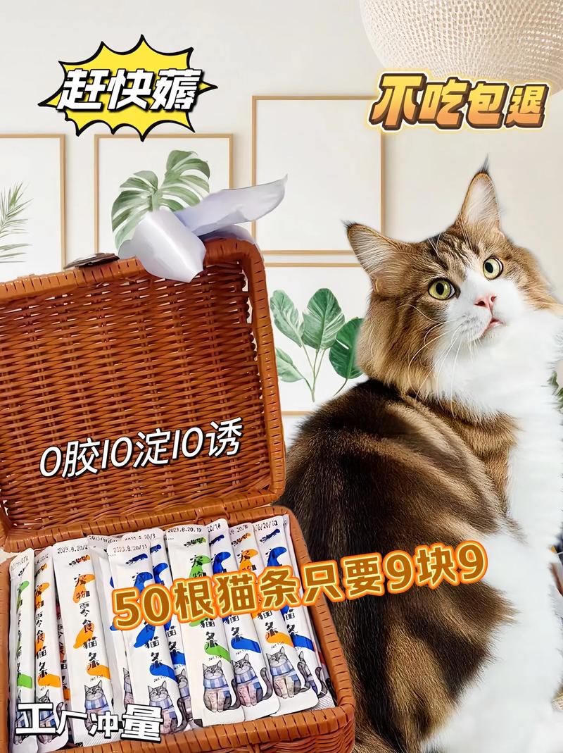 貓條一天幾根