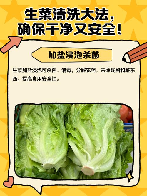 生菜買回來要洗嗎
