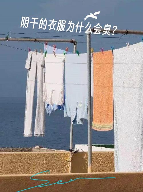 為什麼洗完衣服還是臭臭的