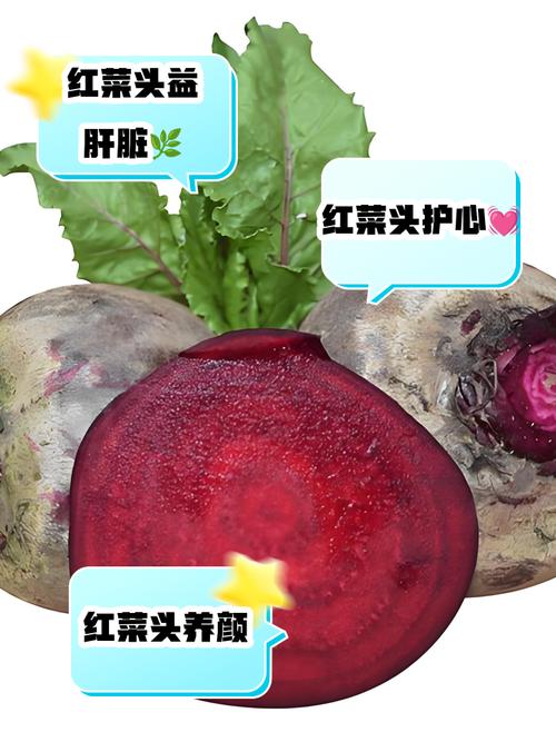 什麼人不能吃紅菜頭