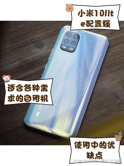 Zoom可以用手機嗎