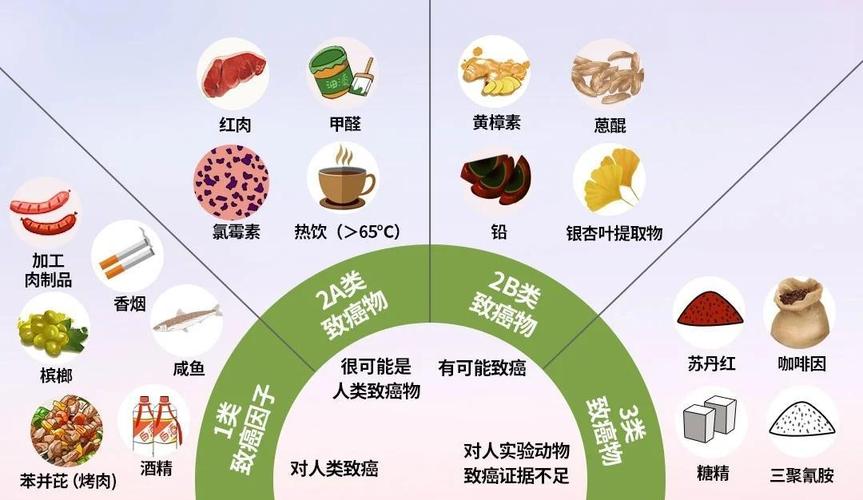 哪些食物會致癌
