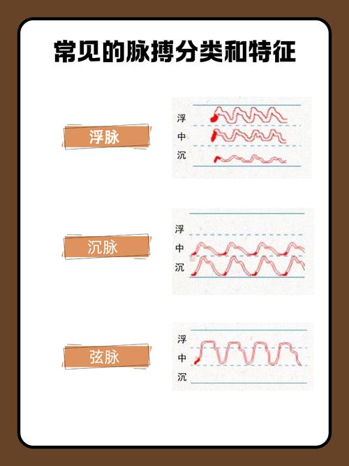 脈相有幾種