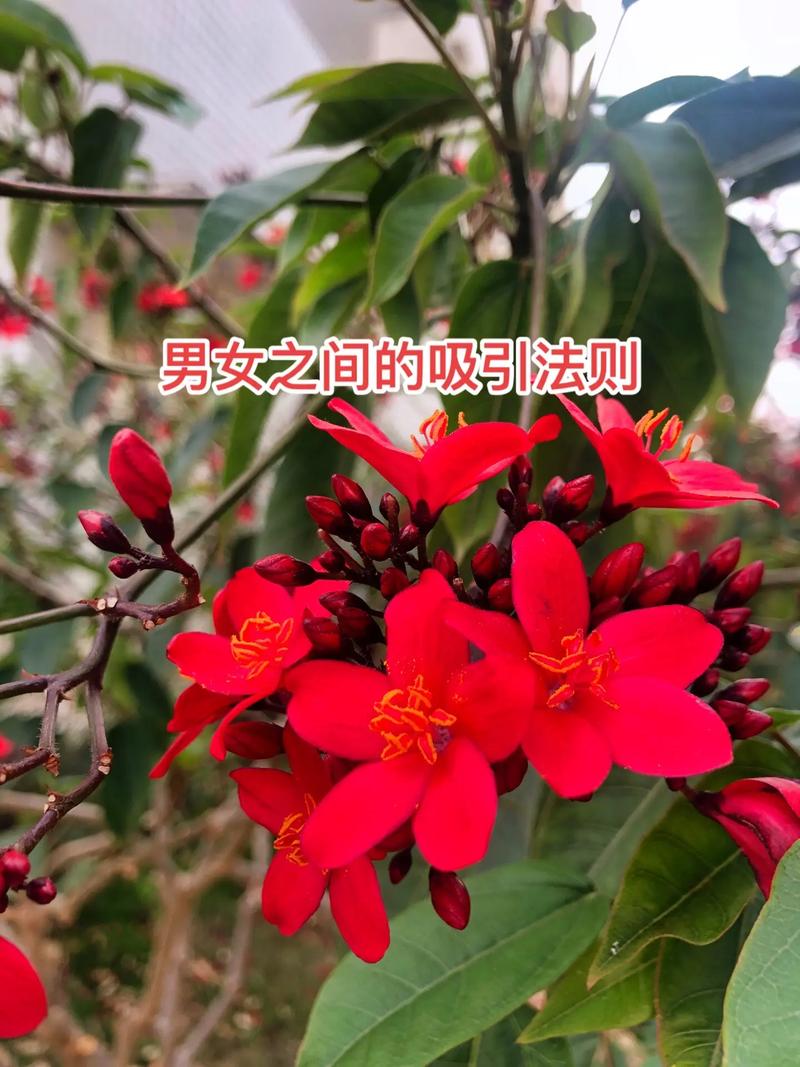 男女為什麼互相吸引