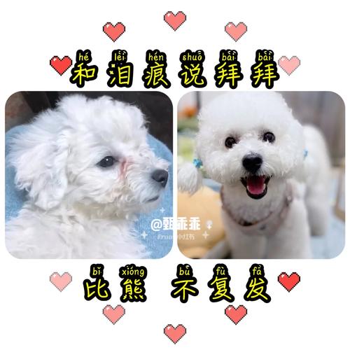 官司拜拜怎麼說?從心安定到神明庇佑的完整指南,給忐忑不安的你 1 官司拜拜怎麼說