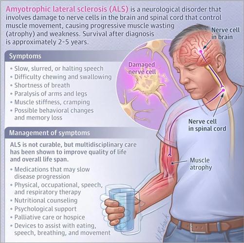 spinal cord是什麼
