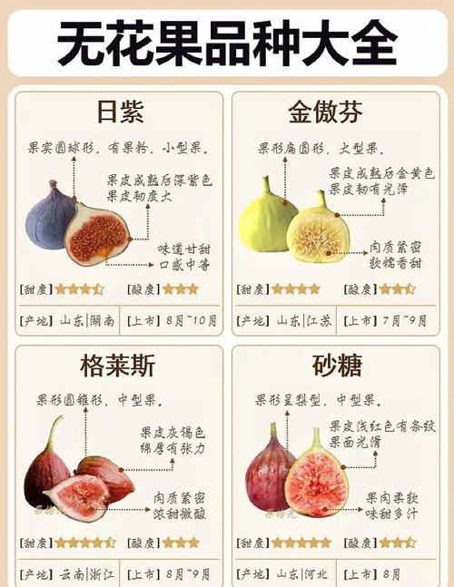 如何讓無花果多結果