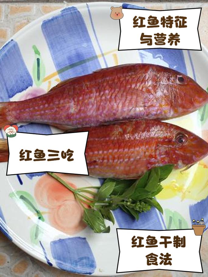紅沙魚好吃嗎