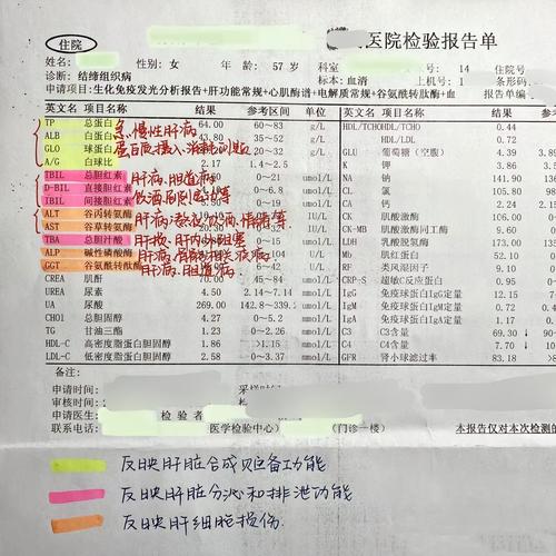 抽血單掉了怎麼辦