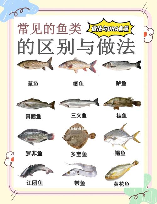 什麼魚最營養