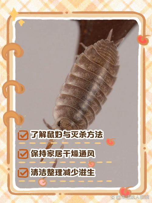 暑輔是什麼