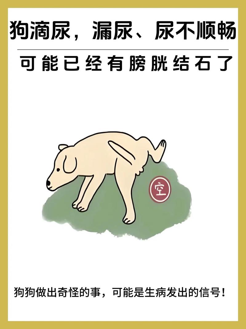 狗一天尿幾次